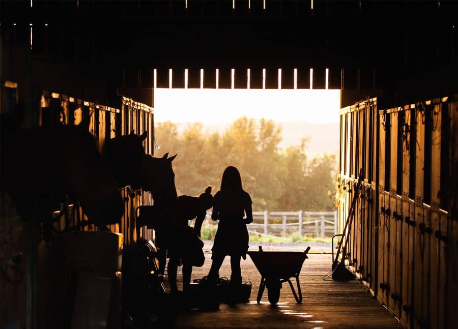 stables