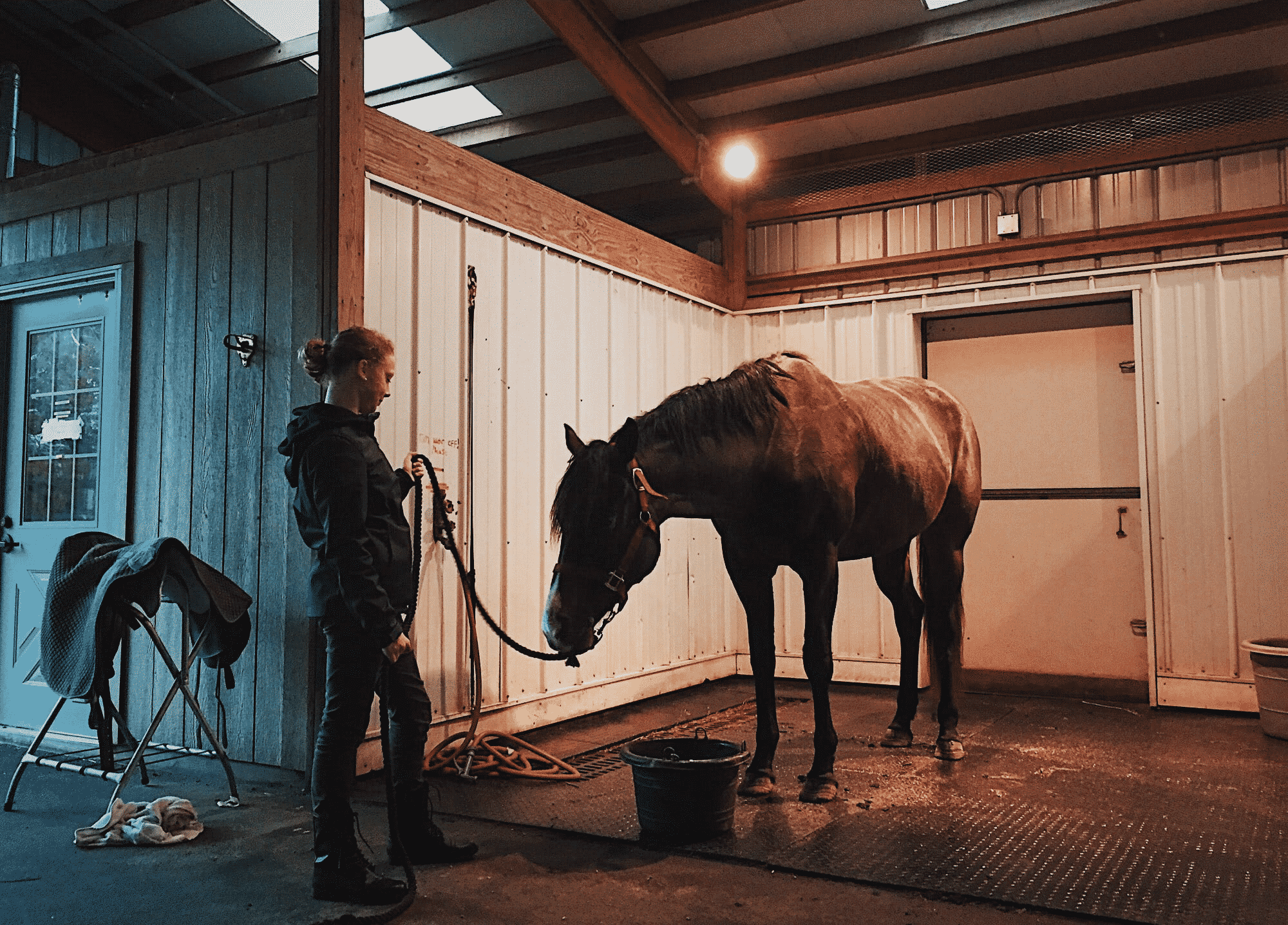 What’s It Like Working on a Horse Ranch? Eventing Guide