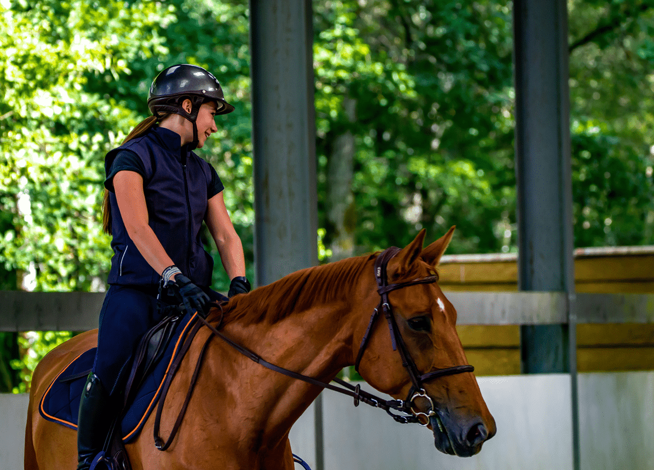 What to Look for When Buying a Horse Eventing Guide