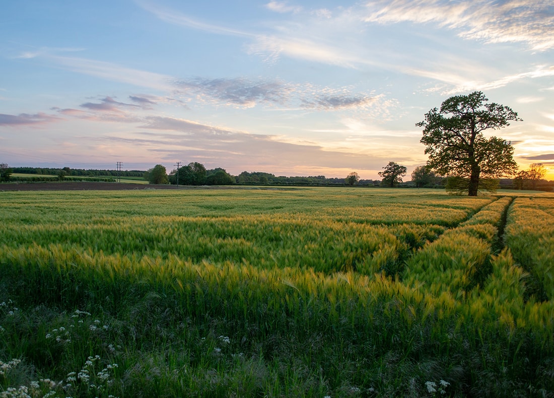 Buying Land for Horse Paddocks (England & Wales) Eventing Guide