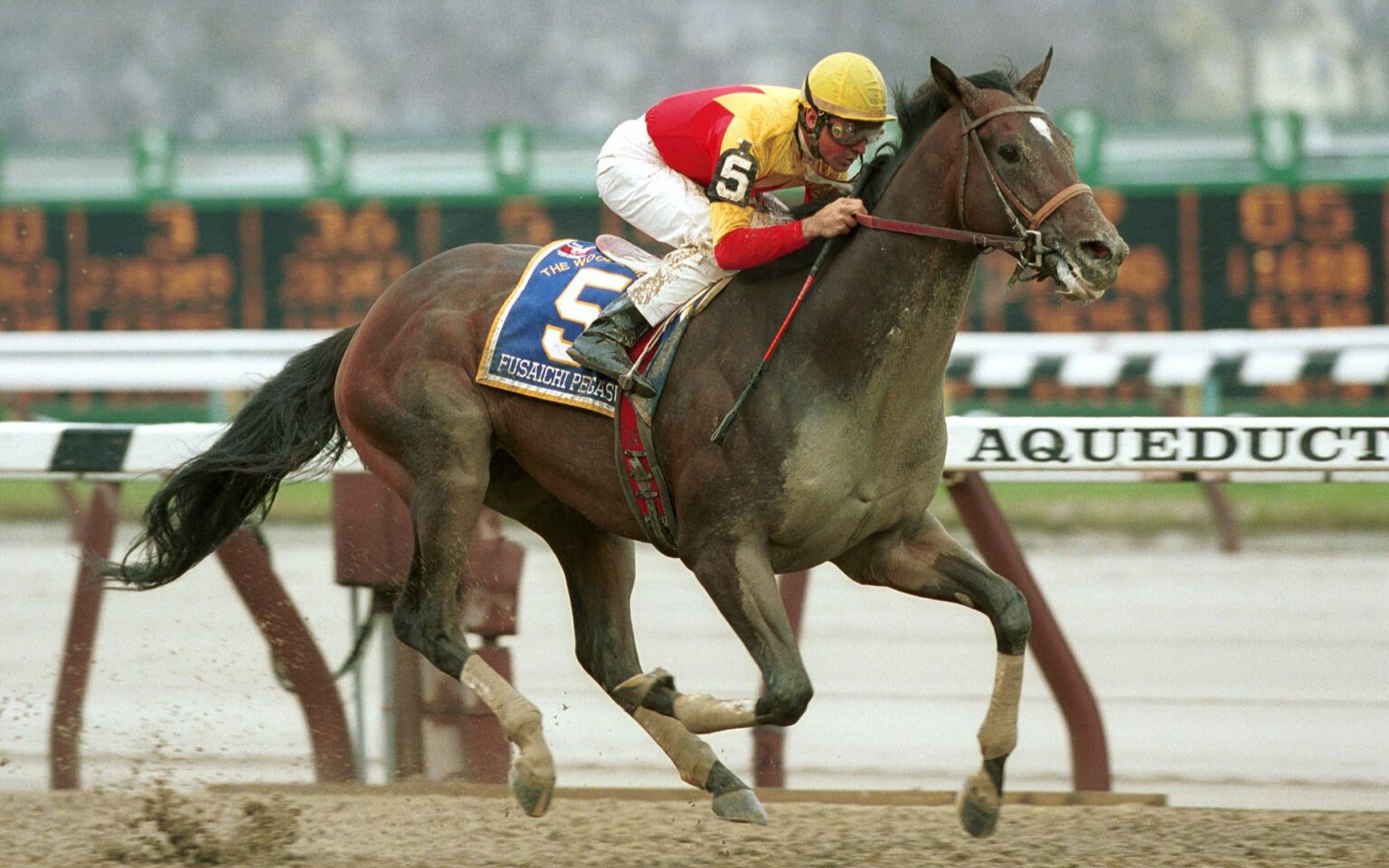 The Most Expensive Horses Ever Sold Eventing Guide