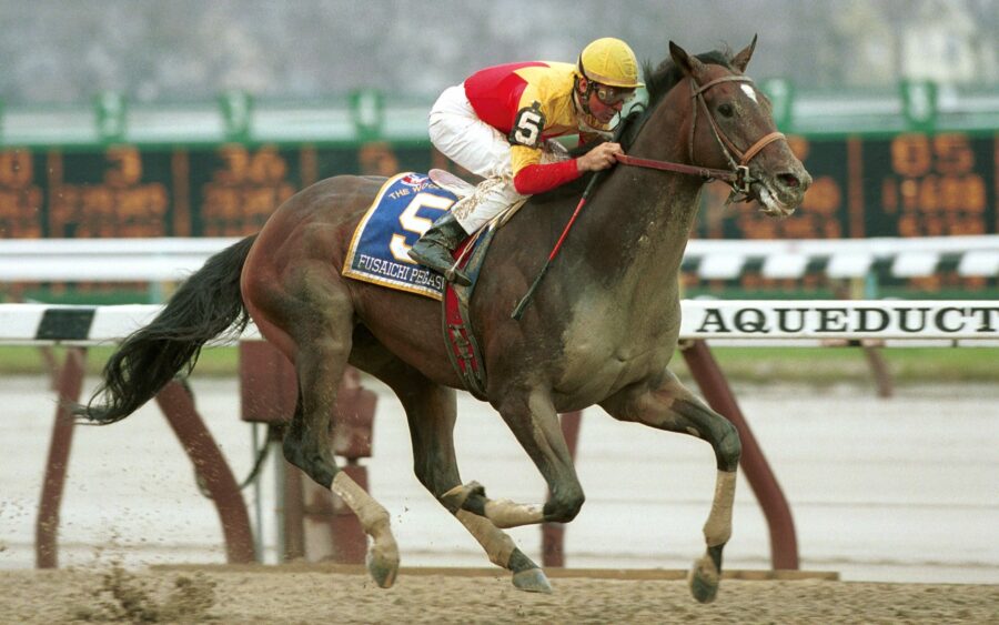 the-most-expensive-horses-ever-sold-eventing-guide