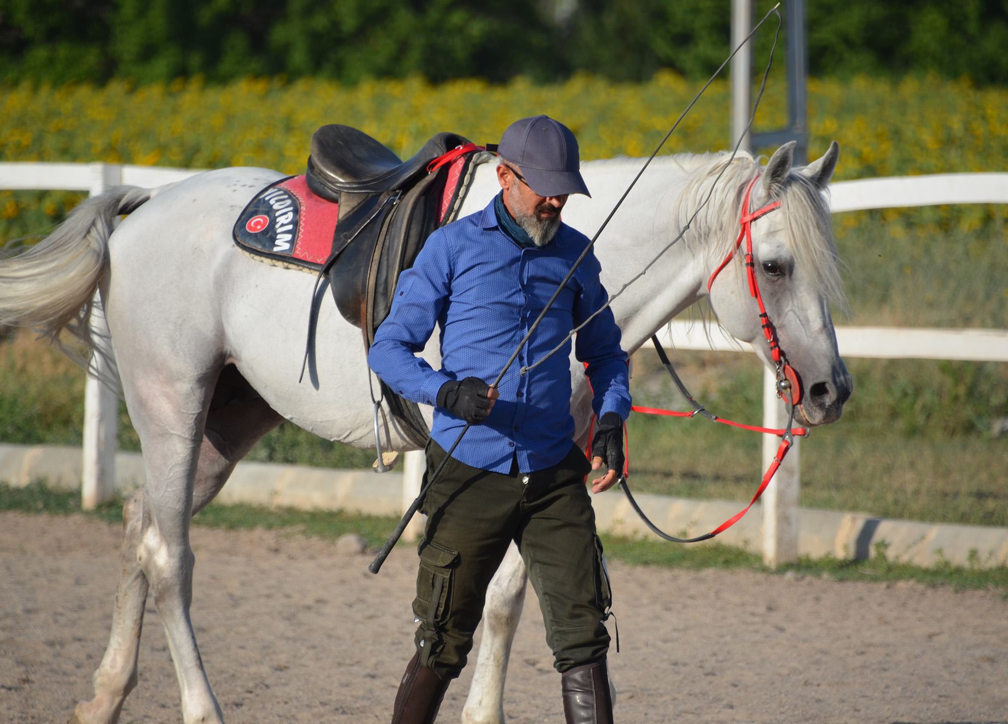 Girthiness in Horses Eventing Guide